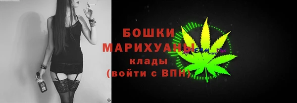 дживик Костерёво