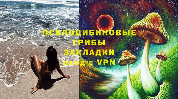 дживик Коряжма
